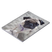 Pug Closeup Notizblock (Linke Seite)