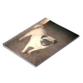 Pug design notebook ,(80 Seiten) Notizblock (Linke Seite)
