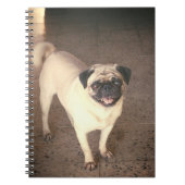 Pug design notebook ,(80 Seiten) Notizblock (Vorderseite)