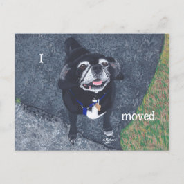 Pug Dog New Address Postcards Postkarte