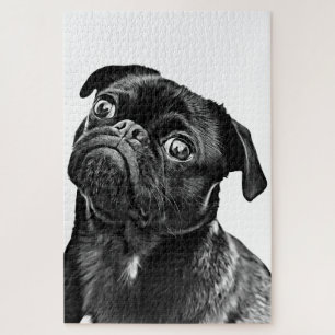 Pug Dog Puzzle