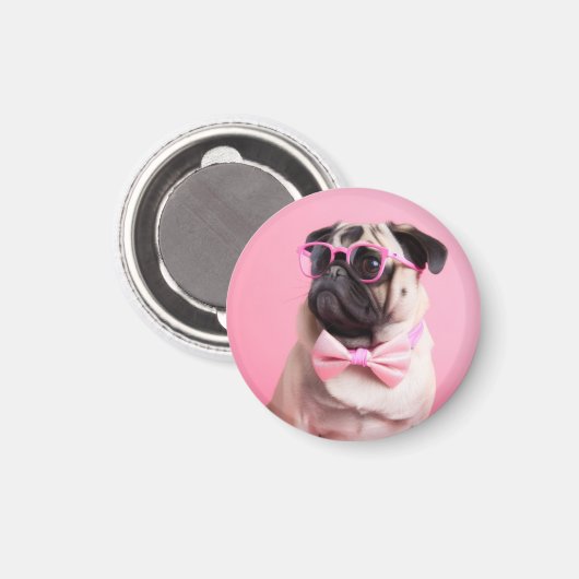 pug dog wearing bow magnet (Vorderseite/Rückseite)