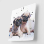 Pug dogs square clock quadratische wanduhr (Winkel)