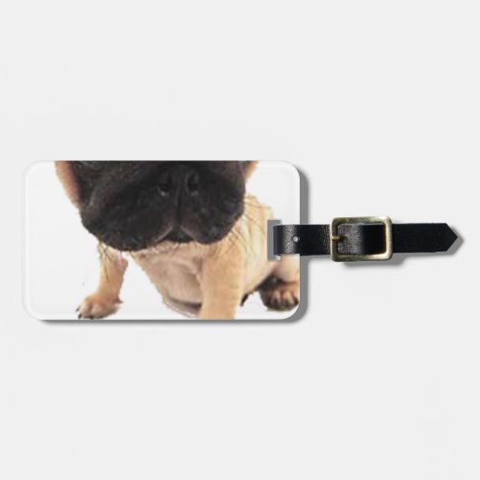 Pug Gepäckanhänger (Vorderseite horizontal)