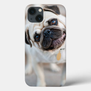 Pug Head Tilt Case-Mate iPhone Hülle