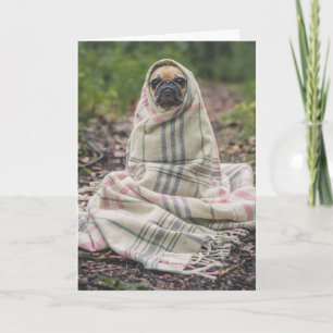 PUG-HUNDE-GEBURTSTAG-GRUßKARTE KARTE