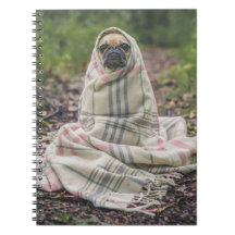 Pug in a Blanket Spiral Notebook