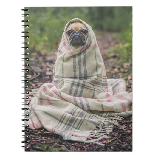 Pug in a Blanket Spiral Notebook Notizblock (Vorderseite)