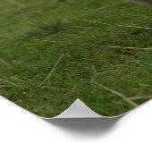 Pug Panting Poster (Ecke)