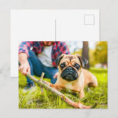 Pug Playing Fetch with Stick Postkarte (Vorne/Hinten)