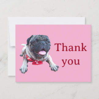 pug postkarte