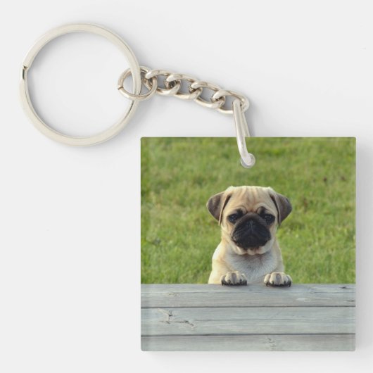 Pug Pup Schlüsselanhänger (Vorderseite)