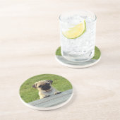 Pug Puppy Cute Photo Getränkeuntersetzer (Seite)