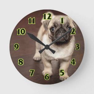 Pug Puppy Runde Wanduhr
