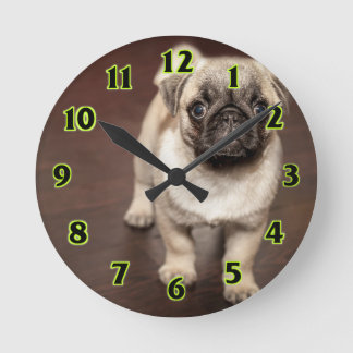 Pug Puppy Runde Wanduhr