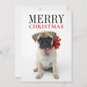 Pug Puppy with Christmas Bow Feiertagskarte