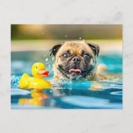 Pug Swimming with Rubber Duck in Pool Postkarte