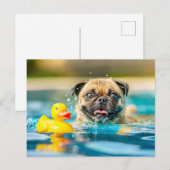 Pug Swimming with Rubber Duck in Pool Postkarte (Vorne/Hinten)