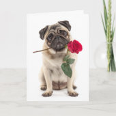 Pug Valentine Karte (Vorderseite)