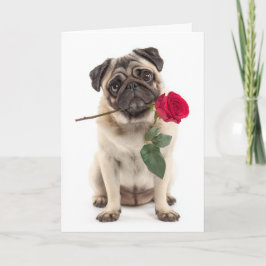 Pug Valentine Karte