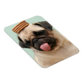 Pug Wants Treats Magnet (Rechte Seite)