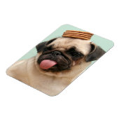 Pug Wants Treats Magnet (Linke Seite)
