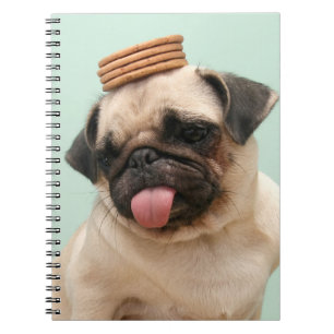 Pug Wants Treats Notizblock