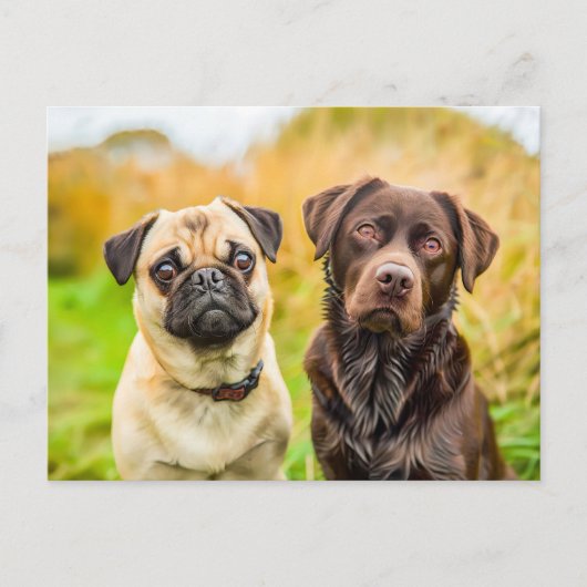 Pug with Dog Friend Playing Together Postkarte (Vorderseite)