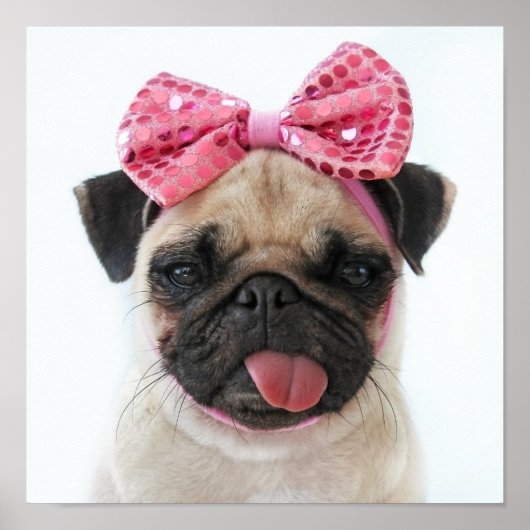 Pug with Pink Bow Poster (Vorne)