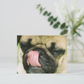 Pugalicious Postcard Postkarte (Stehend Vorderseite)