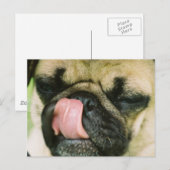 Pugalicious Postcard Postkarte (Vorne/Hinten)