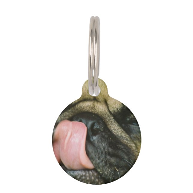 Pugalicious Tiermarke (Vorderseite)