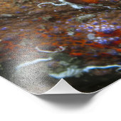 Puget Sound King Crab Foto Erweiterung (Ecke)