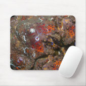 Puget Sound King Crab Mousepad (Mit Mouse)