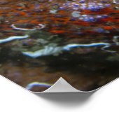 Puget Sound King Crab Poster (Ecke)