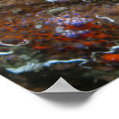 Puget Sound King Crab Poster (Ecke)