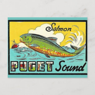 Puget Sound Postcard Postkarte
