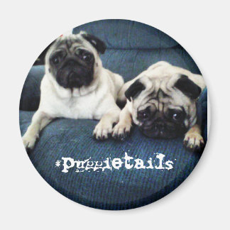 #puggietails-Magnet Magnet