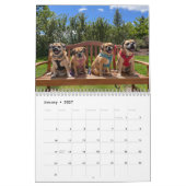 Puggle 2023 Kalender (Jan 2027)