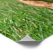Puggle auf dem Laufenden Poster (Ecke)