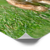 Puggle auf dem Laufenden Poster (Ecke)