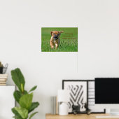 Puggle auf dem Laufenden Poster (Heimbüro)