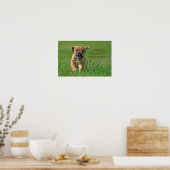 Puggle auf dem Laufenden Poster (Küche)
