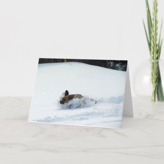 Puggle! Feiertags-Karte Feiertagskarte (Vorderseite)