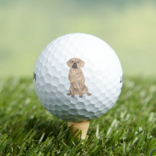 Puggle Golfball (Insitu T-Shirt)