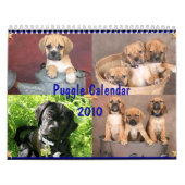 Puggle Kalender (Titelbild)