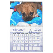 Puggle Kalender (Feb 2026)