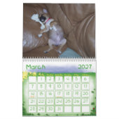 Puggle Kalender (Mär 2027)