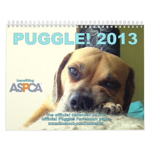 Puggle! Kalender 2013 (Titelbild)
