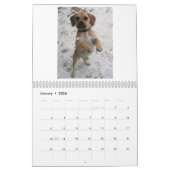 Puggle! Kalender 2013 (Jan 2026)